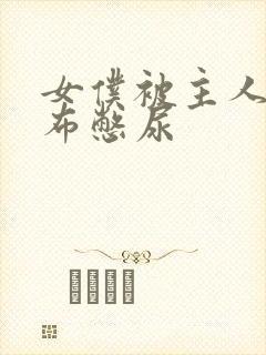 女仆被主人用胶布憋尿