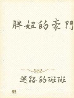 胖妞的豪门之旅