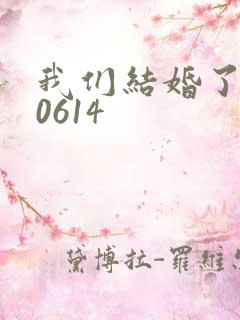 我们结婚了130614