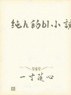 纯h的bl小说