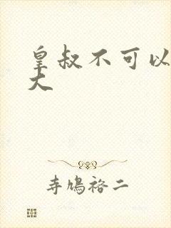 皇叔不可以 太大