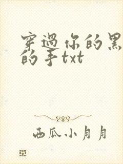 穿过你的黑发我的手txt