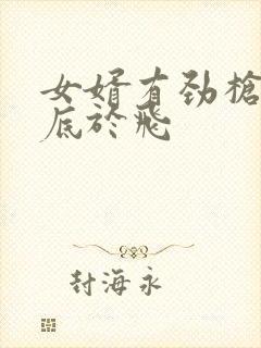 女婿有劲枪枪到底于飞