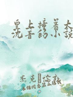 皇上撞着太子妃沈音的小说叫什么