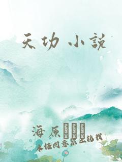 天功 小说