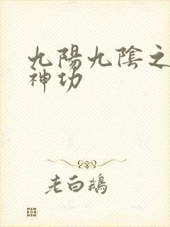 九阳九阴之阴阳神功