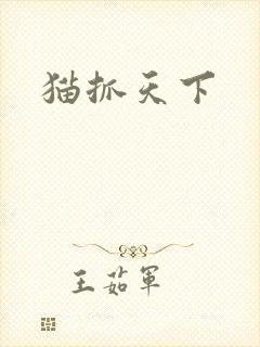 猫抓天下