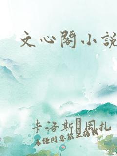 文心阁小说