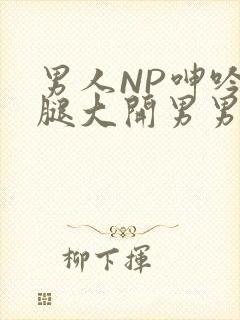 男人NP呻吟双腿大开男男小说