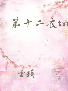 第十二夜txt