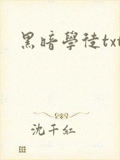 黑暗学徒txt