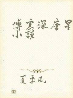 傅寒深唐星挽的小说