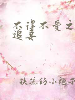 不得不爱之冷少追妻
