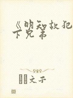 《明知故犯》年下兄弟