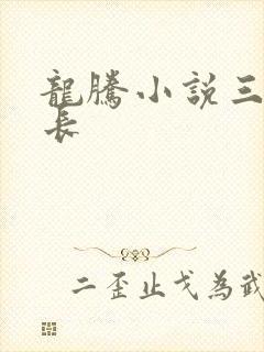 龙腾小说三宝局长