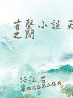 有声小说 天地之间