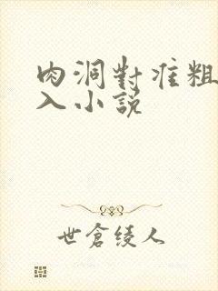 肉洞对准粗大坐入小说