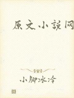 原文小说网