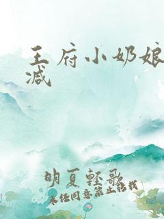 王府小奶娘未删减