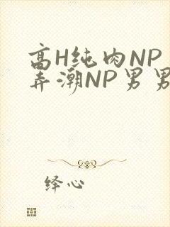 高H纯肉NP 弄潮NP男男