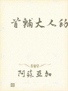 首辅大人的套路