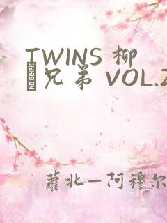 TWINS 柳澤兄弟 VOL.2