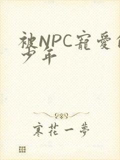 被NPC宠爱的少年