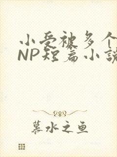 小受被多个攻强NP短篇小说