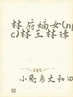林府嫡女(npc)林玉林璋