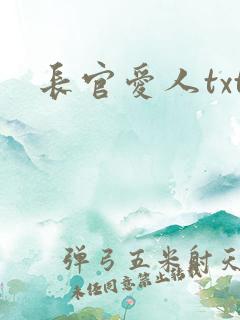 长官爱人txt