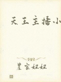 天王主播小说