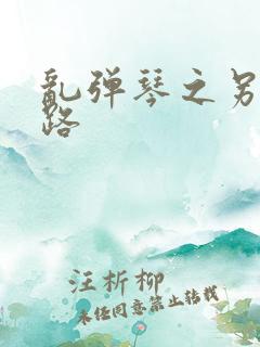 乱弹琴之另一条路