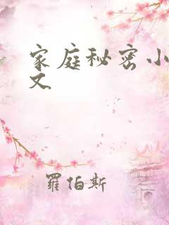 家庭秘密小说全文