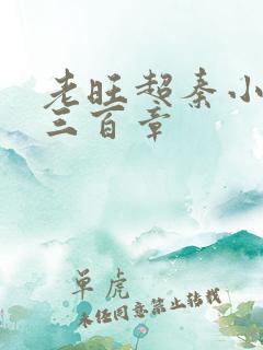 老旺超秦小雨第三百章