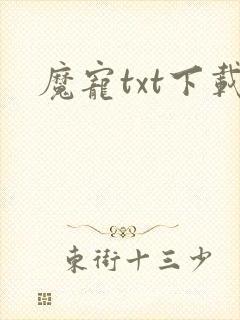 魔宠txt下载