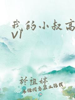 我的小叔高H1V1