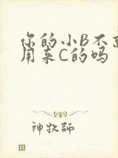 你的小B不就是用来C的吗