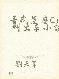 看我怎么C你的 叫出来小说