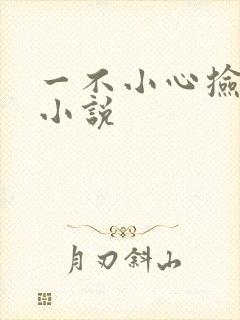 一不小心捡到爱小说
