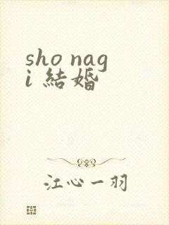 sho nagi 结婚