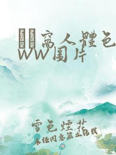 妺妺窝人体色WWW图片