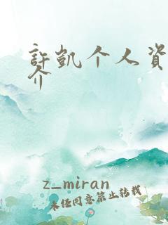 许凯个人资料简介