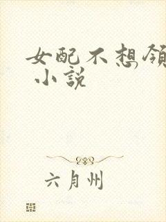 女配不想领便当 小说