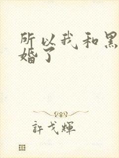 所以我和黑粉结婚了