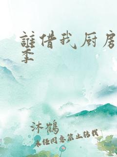 谁借我厨房第三季