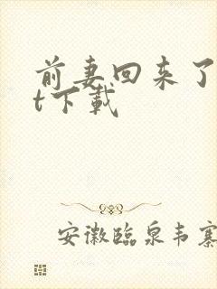 前妻回来了txt下载