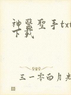 神医圣手txt下载