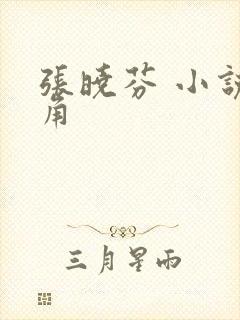 张晓芬 小说主角