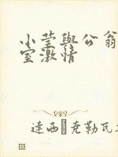 小莹与公翁办公室激情