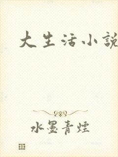 大生活小说